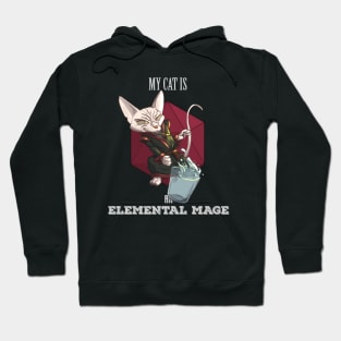 RPG cat mage Hoodie